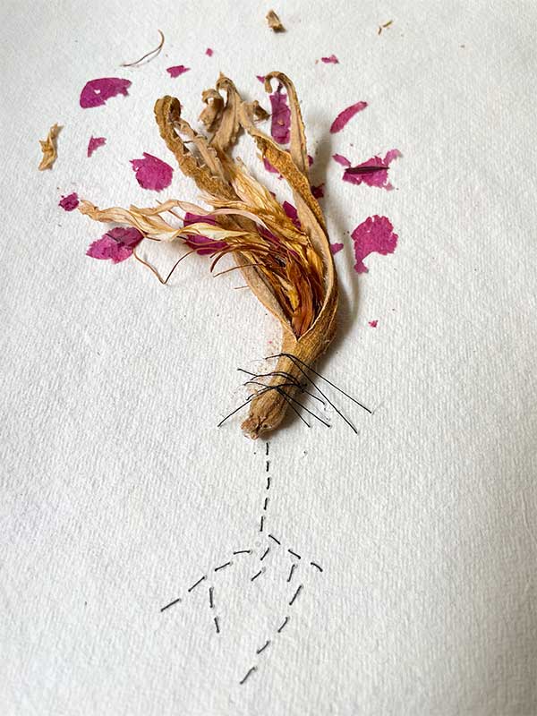 Dry flowers, strands of hair and black cotton thread on handmade paper